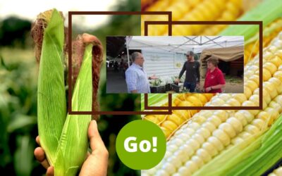 Farmers’ Market Week – Day 3 – +3 Prize Points