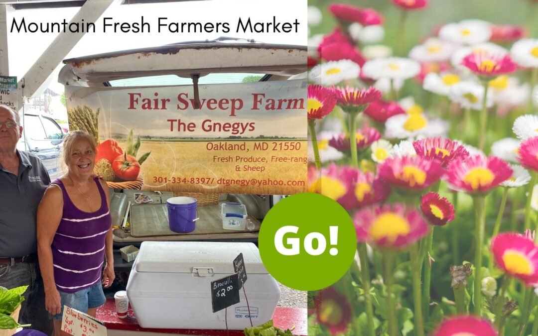 Farmers’ Market Week – Day 5 – Mountain Fresh Farmers Market – +3 Prize Points