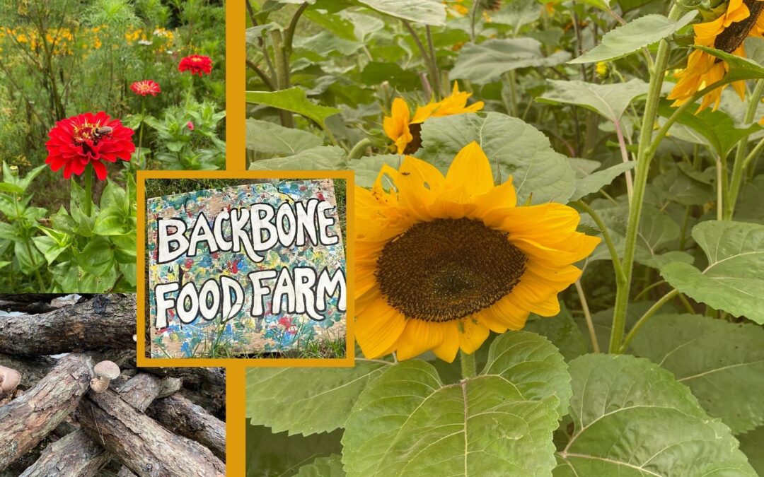 Backbone Food Farm – +3 Prize Points