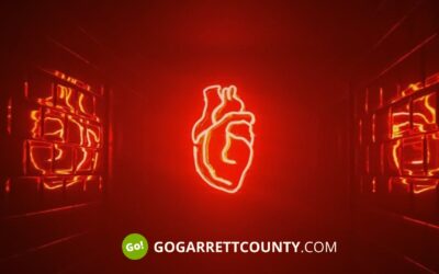 Heart Disease Defined
