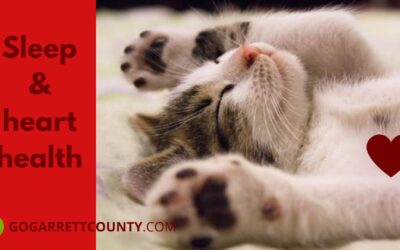 Let’s get our ZZZ’s on!