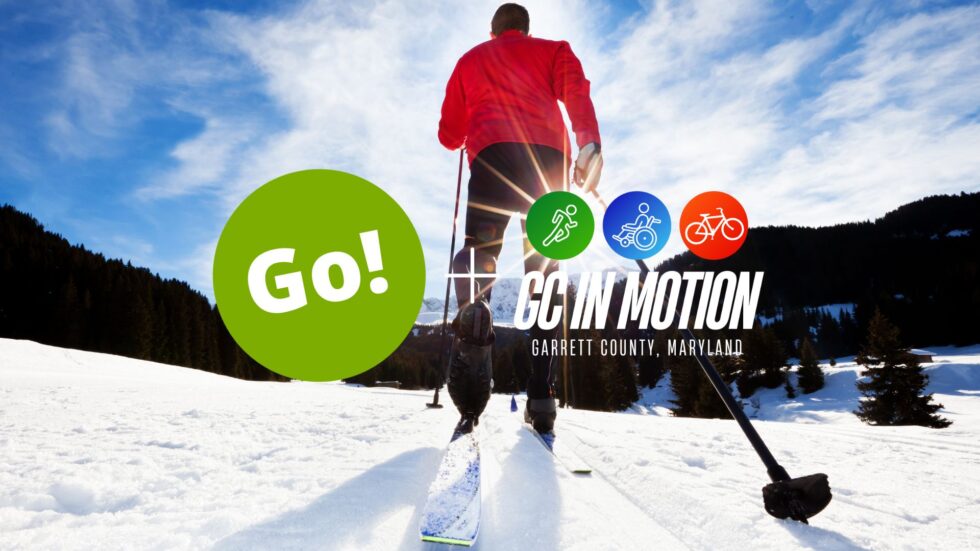 Step/Activity Challenge Weekly Leaderboard Go! Garrett County