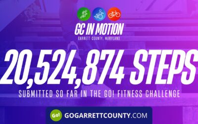 Celebrating 20 MILLION+ Steps/Activity Submissions Recorded In The Go! Fitness Challenge!