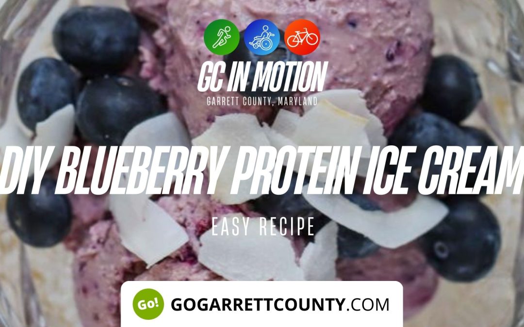 Blueberry PROTEIN Ice Cream