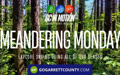 Meandering Monday Guided Hike