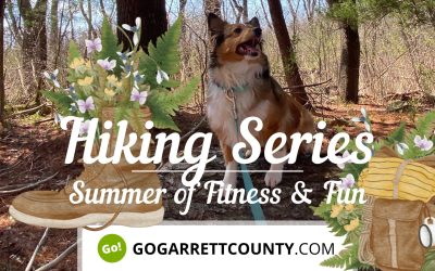 Summer Hiking Series
