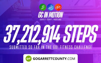 37 MILLION+ STEPS/ACTIVITY RECORDS! – Step/Activity Challenge Weekly Leaderboards – Week 31 and Week 32
