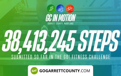 38 MILLION+ STEPS/ACTIVITY RECORDS! – Step/Activity Challenge Weekly Leaderboards – Week 33