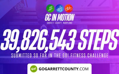 39 MILLION+ STEPS/ACTIVITY RECORDS! – Step/Activity Challenge Weekly Leaderboards – Week 34