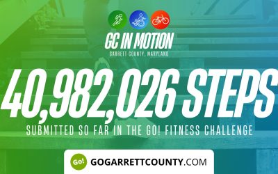 40 MILLION+ STEPS/ACTIVITY RECORDS! – Step/Activity Challenge Weekly Leaderboards – Week 35