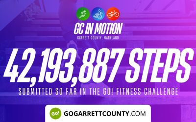 42 MILLION+ STEPS/ACTIVITY RECORDS! – Step/Activity Challenge Weekly Leaderboard – Week 36