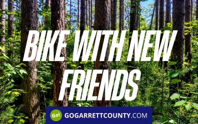 Beginner Mountain Biking at Broadford Park