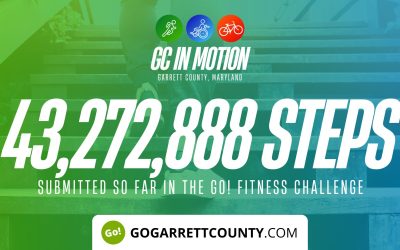 43 MILLION+ STEPS/ACTIVITY RECORDS! – Step/Activity Challenge Weekly Leaderboard – Week 37