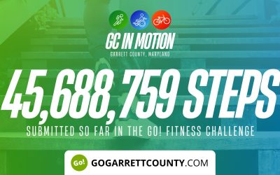45 MILLION+ STEPS/ACTIVITY RECORDS! – Step/Activity Challenge Weekly Leaderboard – Week 39