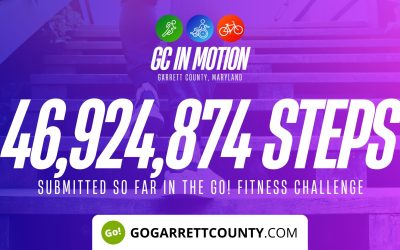 46 MILLION+ STEPS/ACTIVITY RECORDS! – Step/Activity Challenge Weekly Leaderboard – Week 40