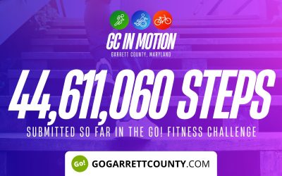 44 MILLION+ STEPS/ACTIVITY RECORDS! – Step/Activity Challenge Weekly Leaderboard – Week 38