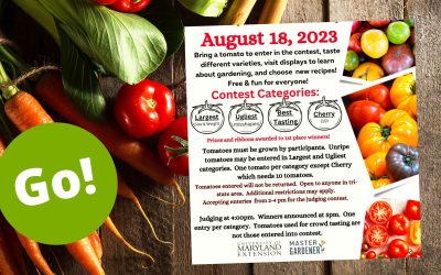 Free Community Event: Tomato Festival!