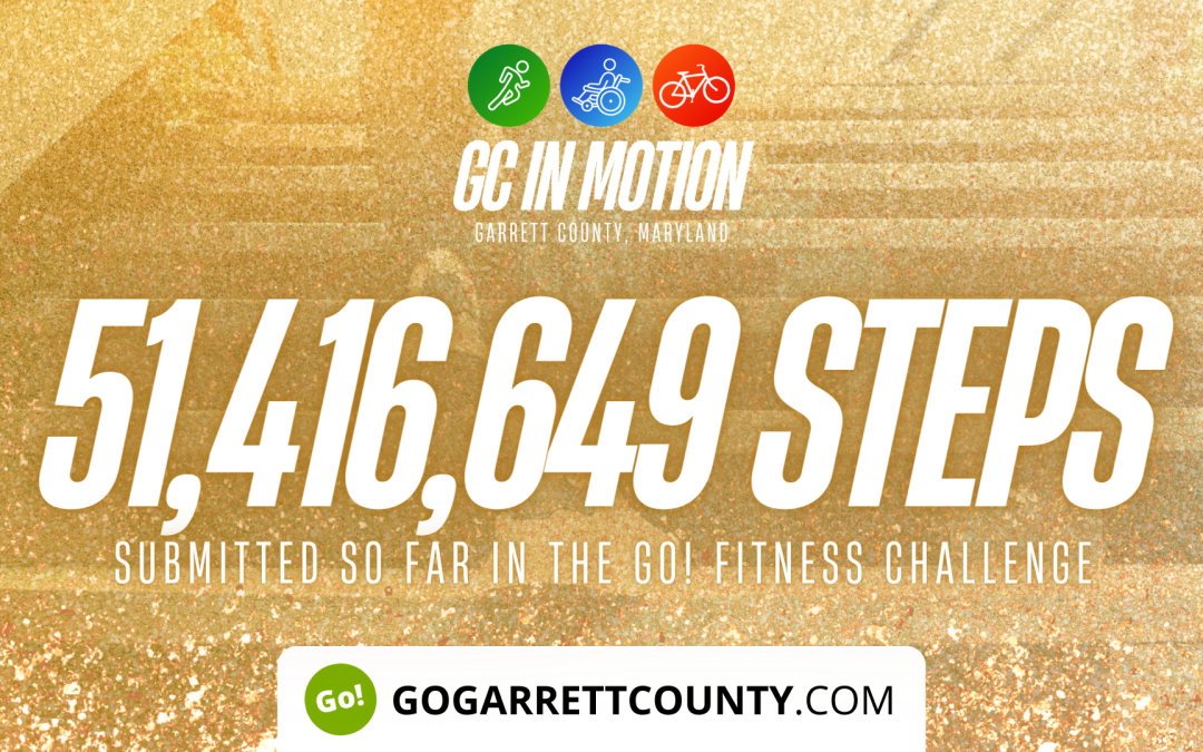 51 MILLION+ STEPS/ACTIVITY RECORDS! – Step/Activity Challenge Weekly Leaderboard – Week 44