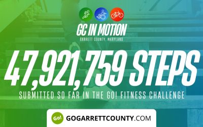 47 MILLION+ STEPS/ACTIVITY RECORDS! – Step/Activity Challenge Weekly Leaderboard – Week 41