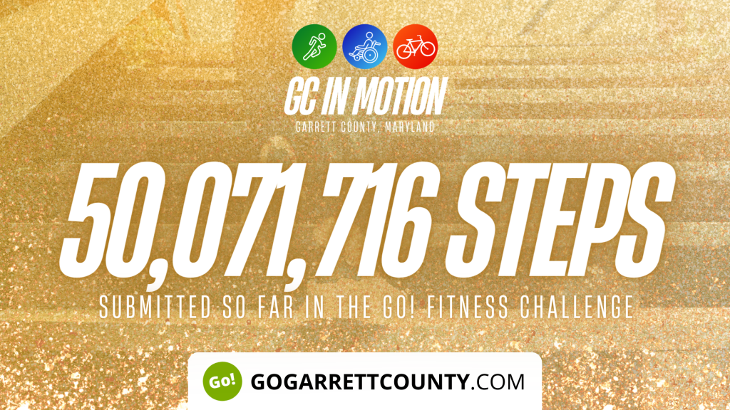 50 MILLION+ STEPS/ACTIVITY RECORDS! Step/Activity Challenge Weekly Leaderboard Week 43 Go