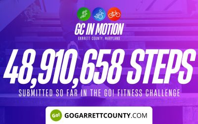 48 MILLION+ STEPS/ACTIVITY RECORDS! – Step/Activity Challenge Weekly Leaderboard – Week 42