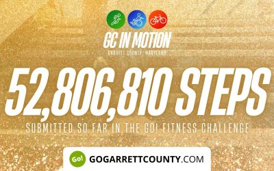 52 MILLION+ STEPS/ACTIVITY RECORDS! – Step/Activity Challenge Weekly Leaderboard – Week 45