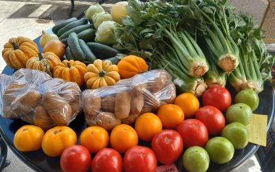 Don’t Miss the Pop-up Market at Meadows Apartments Tonight!