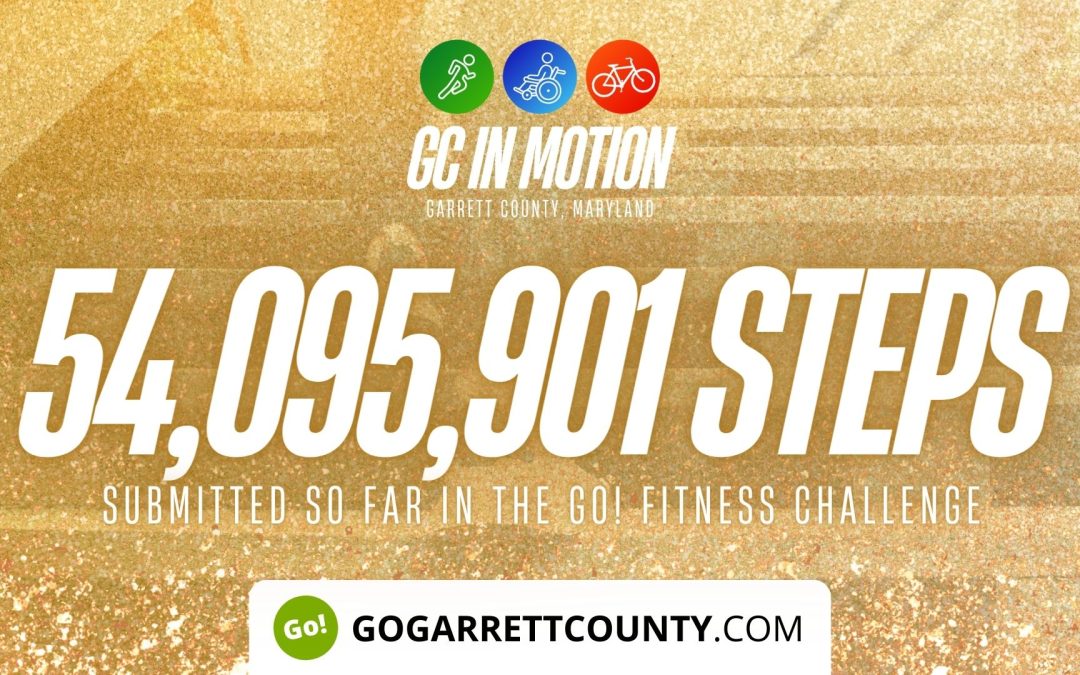 NEW RECORD NUMBER OF WEEKLY PARTICIPANTS! – 54 MILLION+ STEPS/ACTIVITY RECORDS! – Step/Activity Challenge Weekly Leaderboard – Week 46