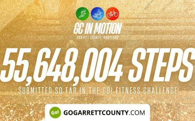 NEW RECORD NUMBER OF WEEKLY PARTICIPANTS! – 55 MILLION+ STEPS/ACTIVITY RECORDS! – Step/Activity Challenge Weekly Leaderboard – Week 47