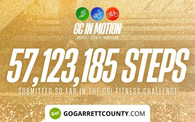 57 MILLION+ STEPS/ACTIVITY RECORDS! – Step/Activity Challenge Weekly Leaderboard – Week 48