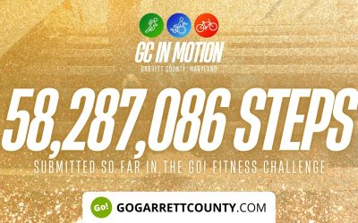 58 MILLION+ STEPS/ACTIVITY RECORDS! – Step/Activity Challenge Weekly Leaderboard – Week 49