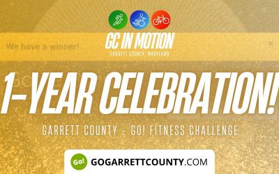 Go! Fitness Challenge 1-Year Celebration!