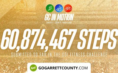 60 MILLION+ STEPS/ACTIVITY RECORDS! – Step/Activity Challenge Weekly Leaderboard – Week 51