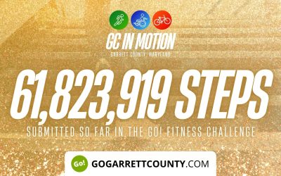 61 MILLION+ STEPS/ACTIVITY RECORDS! – Step/Activity Challenge Weekly Leaderboard – Week 52