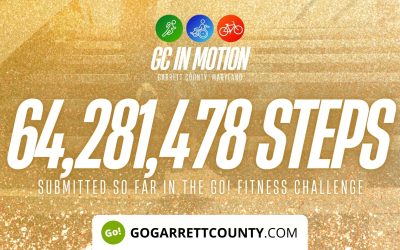 64 MILLION+ STEPS/ACTIVITY RECORDS! – Step/Activity Challenge Weekly Leaderboard – Week 54