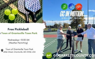 Fitness & Fun On The Pickleball Court!