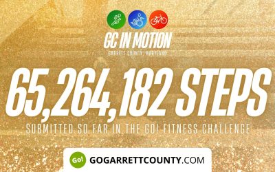 65 MILLION+ STEPS/ACTIVITY RECORDS! – Step/Activity Challenge Weekly Leaderboard – Week 55