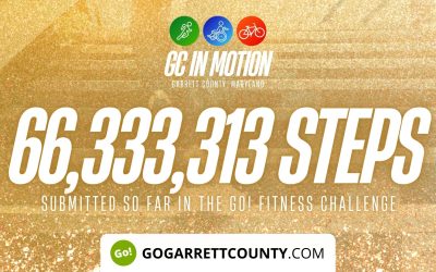 66 MILLION+ STEPS/ACTIVITY RECORDS! – Step/Activity Challenge Weekly Leaderboard – Week 56