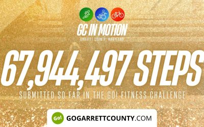 67 MILLION+ STEPS/ACTIVITY RECORDS! – Step/Activity Challenge Weekly Leaderboard – Week 57 + Week 58