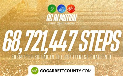 68 MILLION+ STEPS/ACTIVITY RECORDS! – Step/Activity Challenge Weekly Leaderboard – Week 59