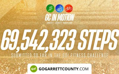 69 MILLION+ STEPS/ACTIVITY RECORDS! – Step/Activity Challenge Weekly Leaderboard – Week 60