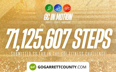 71 MILLION+ STEPS/ACTIVITY RECORDS! – Step/Activity Challenge Weekly Leaderboard – Weeks 61 + 62