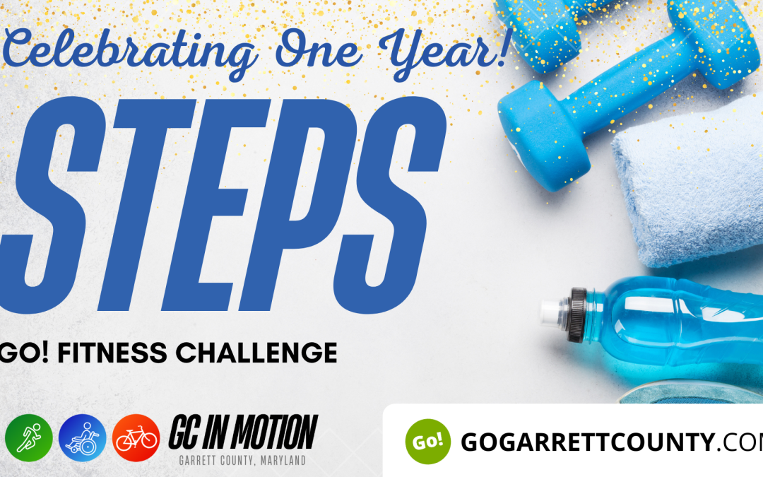 Go! Fitness Challenge: It’s Time To Submit Your Steps/Activity For Last Week! (2/12-2/18)