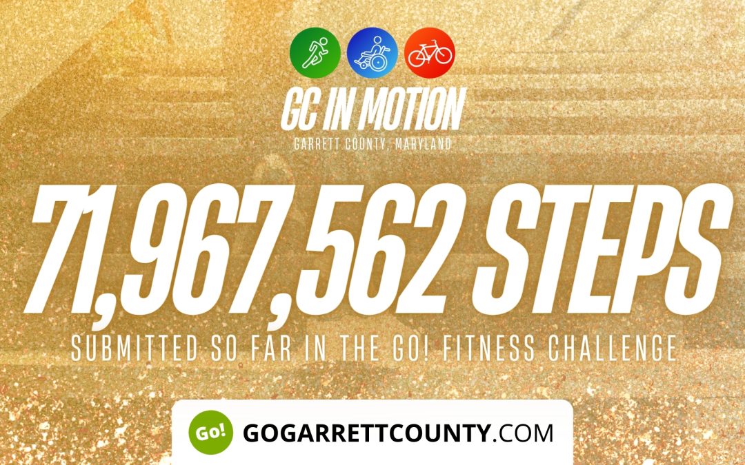 71 MILLION+ STEPS/ACTIVITY RECORDS! – Step/Activity Challenge Weekly Leaderboard – Week 63