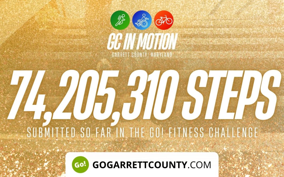 74 MILLION+ STEPS/ACTIVITY RECORDS! – Step/Activity Challenge Weekly Leaderboard – Week 65