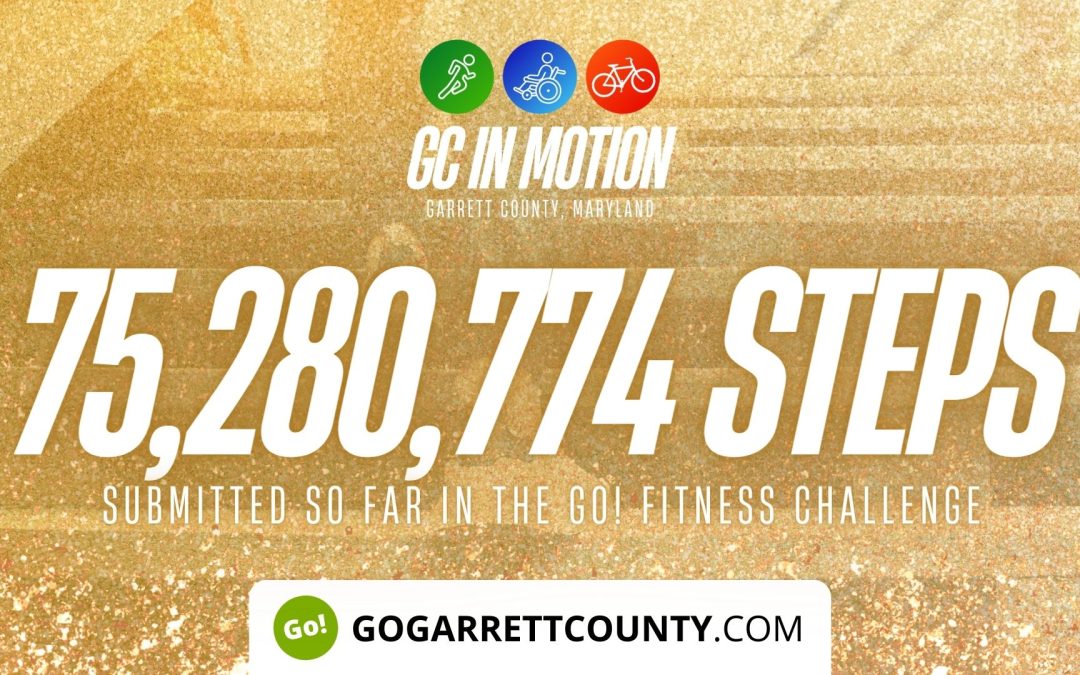 75 MILLION+ STEPS/ACTIVITY RECORDS! – Step/Activity Challenge Weekly Leaderboard – Week 66