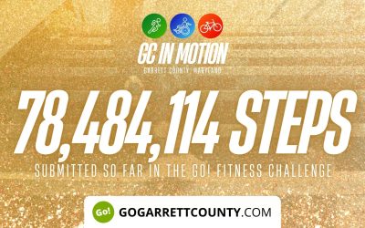 78 MILLION+ STEPS/ACTIVITY RECORDS! – Step/Activity Challenge Weekly Leaderboard – Week 69