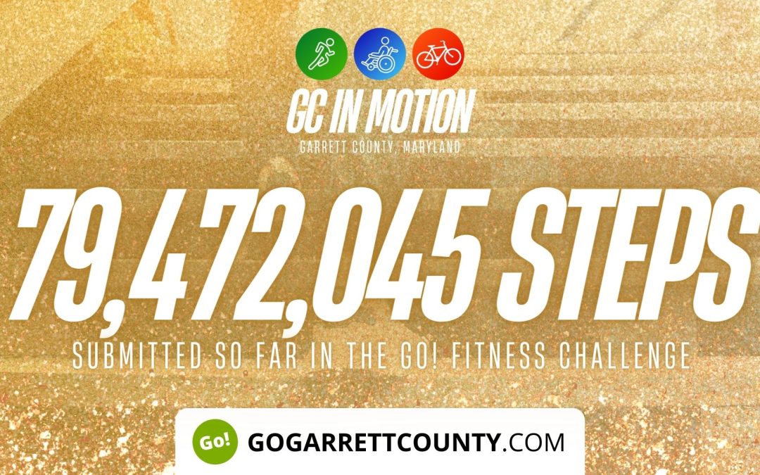 79 MILLION+ STEPS/ACTIVITY RECORDS! – Step/Activity Challenge Weekly Leaderboard – Week 70