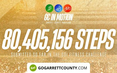 80 MILLION+ STEPS/ACTIVITY RECORDS! – Step/Activity Challenge Weekly Leaderboard – Week 71