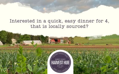 Healthy Options From The Harvest Hub